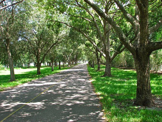John S. Taylor Park