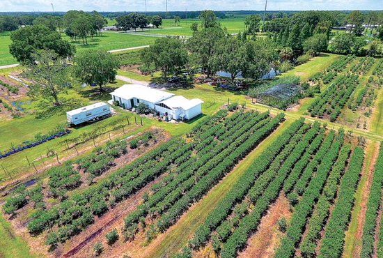 Shady Oak Farms