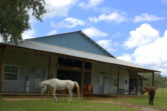 Southern Skies Ranch