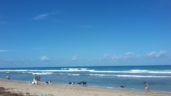 Walton Rocks Beach