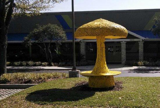 Mellow Mushroom