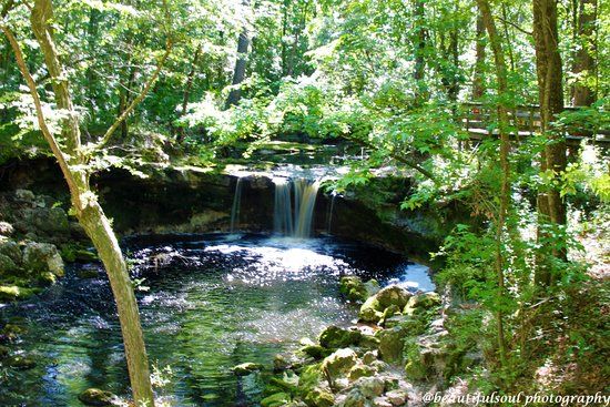 Falling Creek Falls