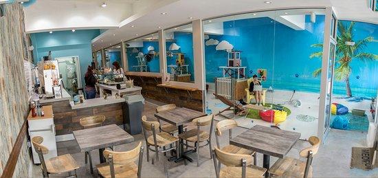 The Cat Cafe South Beach
