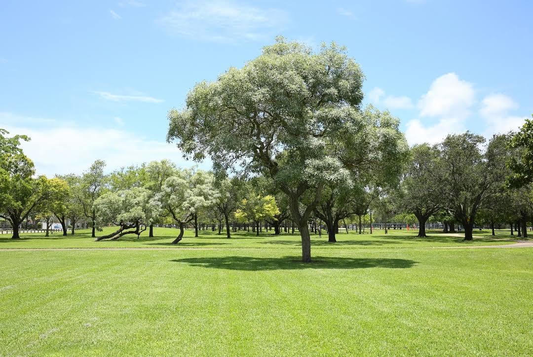 Victoria Park