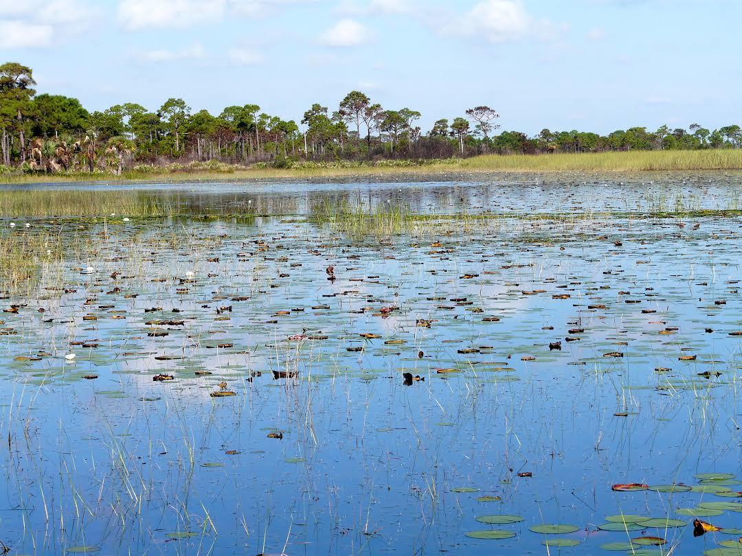 Savannas Preserve State Park Environmental Education Center