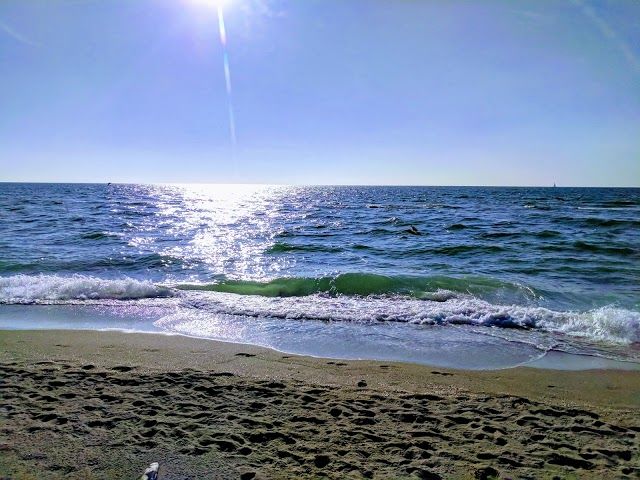 Venice Beach