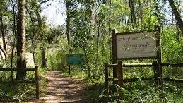 Hogtown Creek hiking
