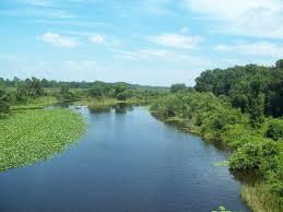 Ocklawaha River