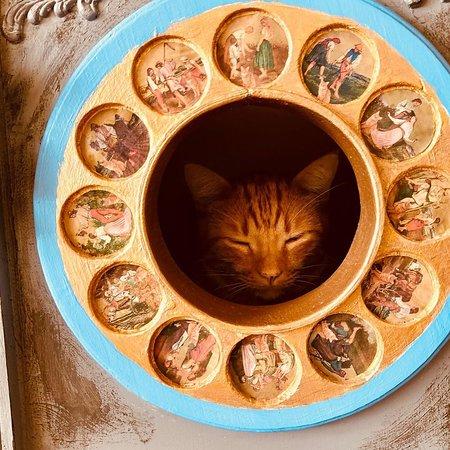 The Witty Whisker Cat Cafe