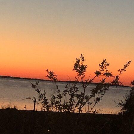 The View on Old 98