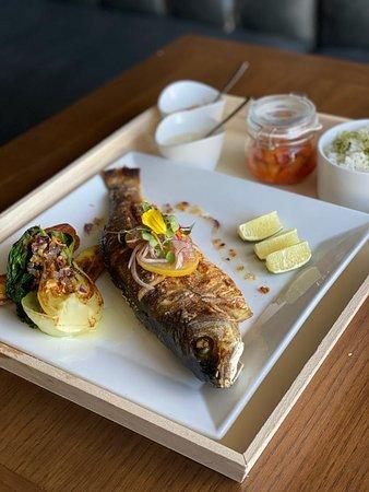 Mestizo Gastro Fusion
