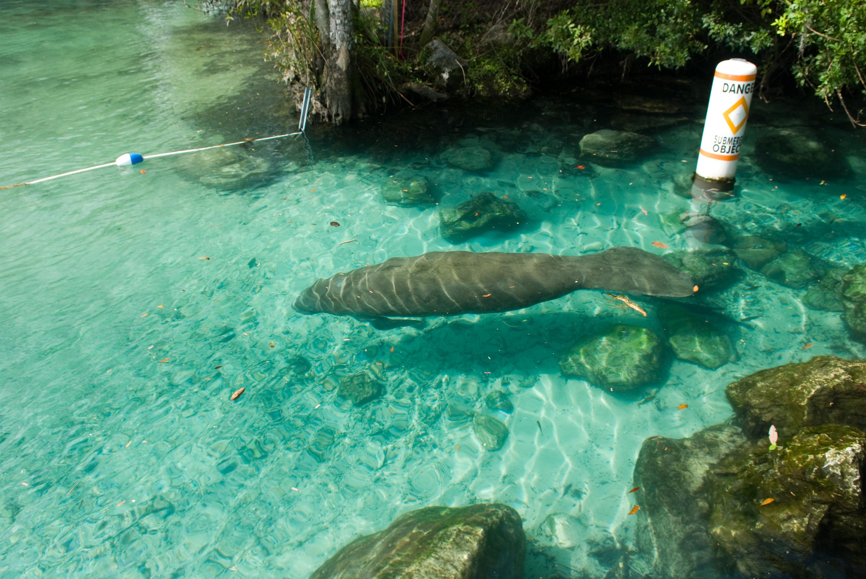 Three Sisters Springs