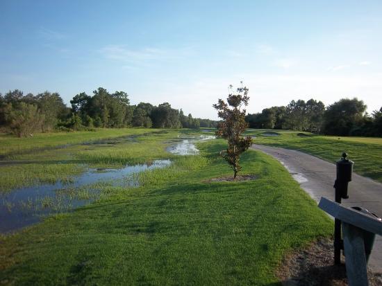 Lexington Oaks Golf Club