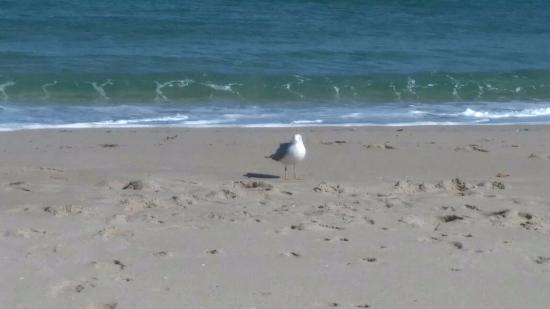 Lantana Public Beach