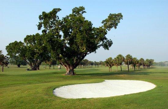 Palmetto Golf Course