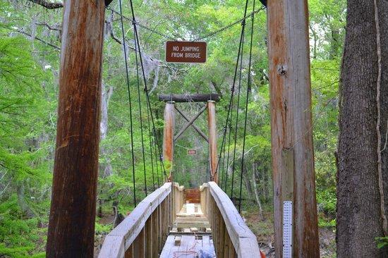O'Leno State Park