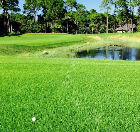 The Golf Garden of Destin