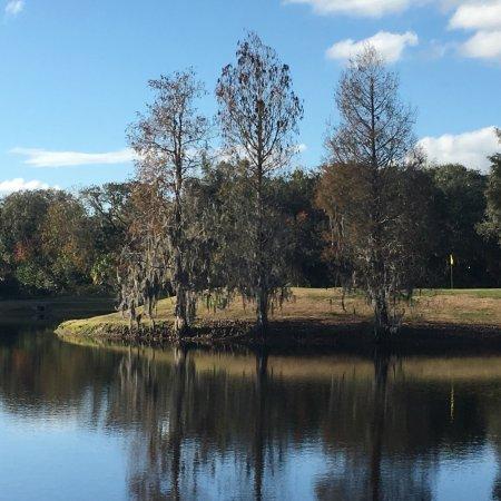 The River Club