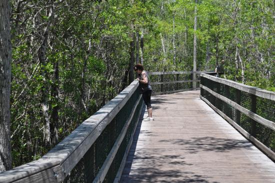 Turkey Creek Nature Trail
