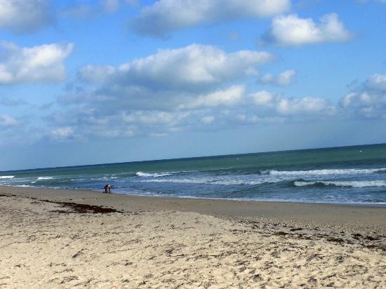Pepper Beach Park