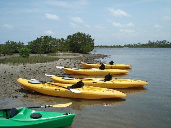 Kayak Lake Worth