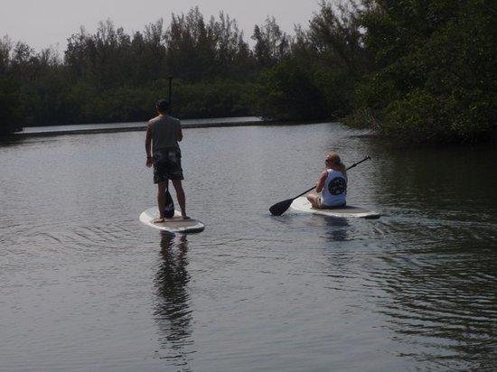 SUP Eco Adventures