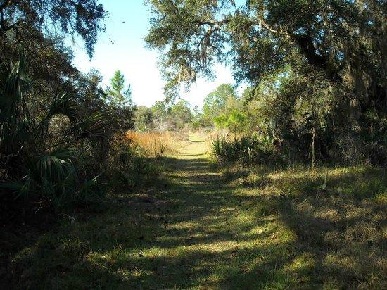 Crystal River Preserve State Park Eco-Walk