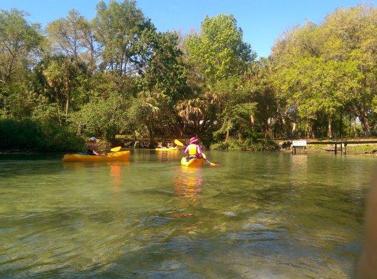 The Kayak Shack