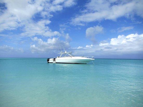 Turtle Voyager Yacht Charter