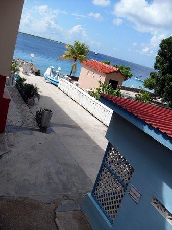 Bonaire Dive and Adventure