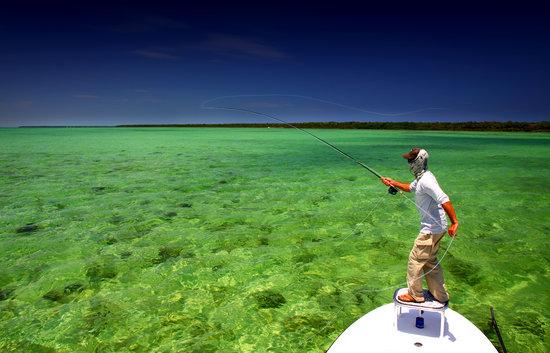 Shallow Tails Guide Service