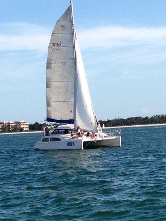 Cool Beans Cruises Catamaran Sailing Charters