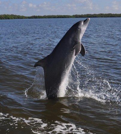 Good Time Charters