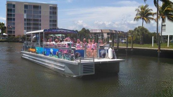 Estero Bay Express Dolphin & Sunset Boat Tours