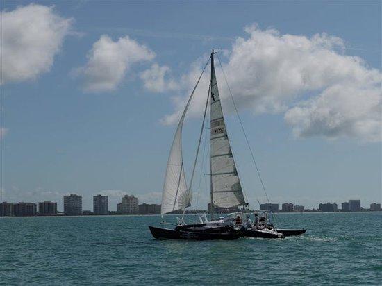 Thunderbird Sailing day trips