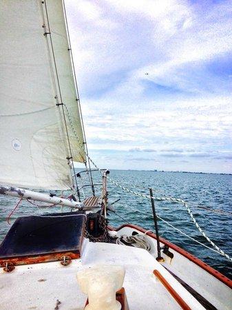 Sundance Sailing