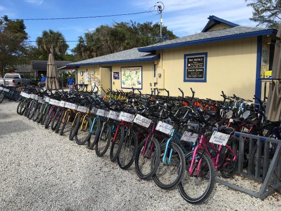 Billy's Bikes and Rentals
