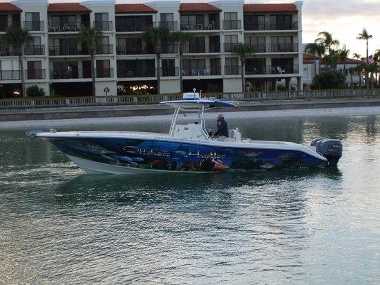 Offshore Hustler Fishing Charters