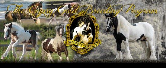 The Gypsy Gold Farm
