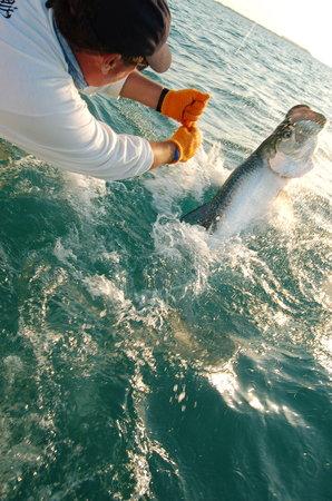 Bamboo Charters