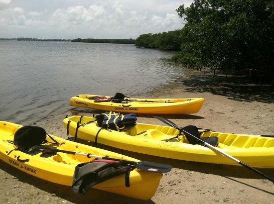 Lisa's Kayaks
