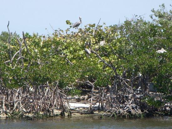 Sunshine Wildlife Eco Tours
