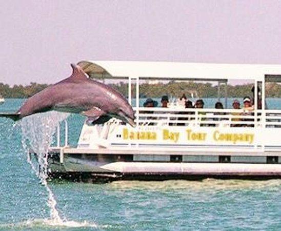 Banana Bay Tour Company Day Tours