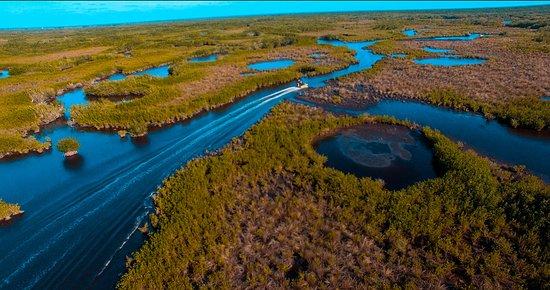 Speedy's Airboat Tours