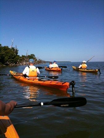 Captiva Kayak Company & Wildside Adventures
