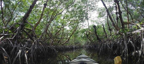 Keys Kayak LLC