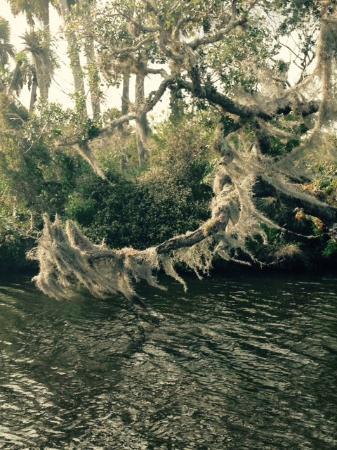 Captain Hiram's River King Cruises