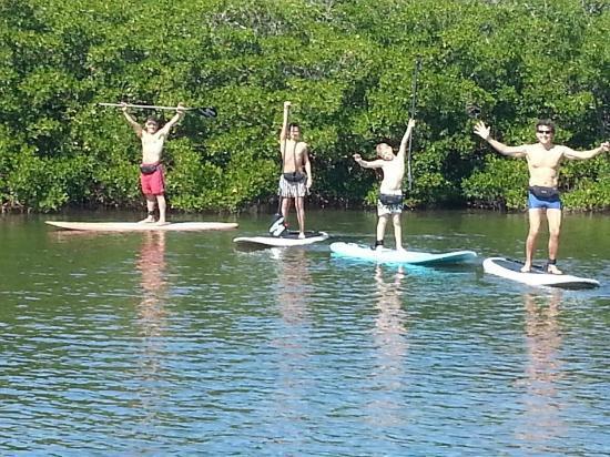 Sarasota Paddleboard Company