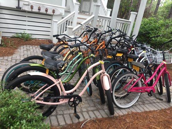 Sunny Days Bike & Beach Sports