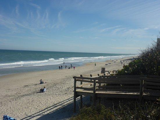 Canova Beach Dog Park